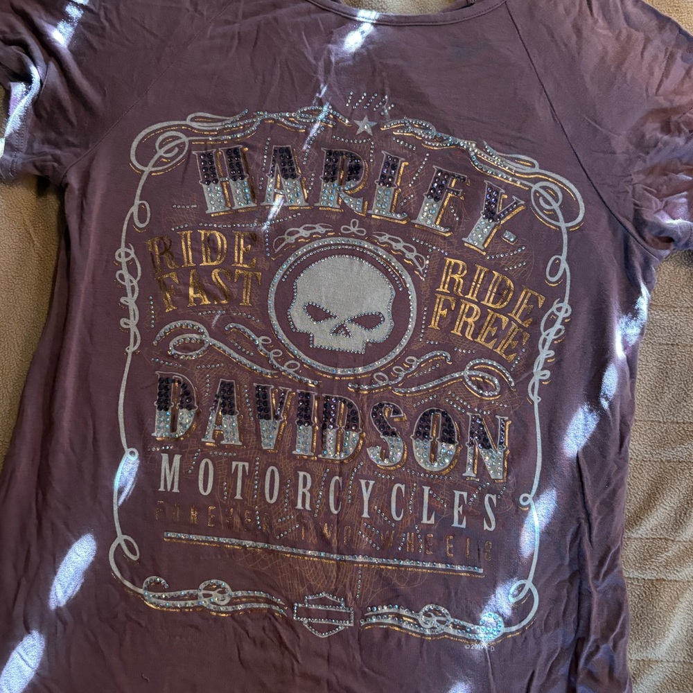 Harley-Davidson Skull Graphic Tee in Dark Purple